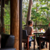 Отель Rose Gums Wilderness Retreat, фото 20