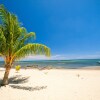 Отель Sand Dollar, фото 14