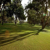 Отель Pluz Resort, фото 12