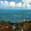 Отель Whitsundays Rainforest Retreat, фото 18