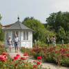 Отель Santé Royale Hotel & Gesundheitsresort Bad Langensalza, фото 21