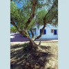 Отель Contaratos Holiday Lettings 2, фото 1