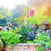 Отель Hangzhou Biyi Bird Homestay (West Lake Qingzhiwu Branch), фото 5