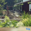 Отель Yunqiu Mountain Kangjiaping Homestay, фото 14