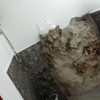 Отель La Casita Bed And Breakfast, фото 7