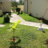Отель Lovely Apartment in Flic en Flac, Close to the Lovely Beach and all Amenities, фото 22