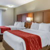 Отель Comfort Inn Lancaster - Rockvale Outlets, фото 46