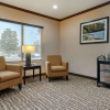 Отель Comfort Inn & Suites, фото 7