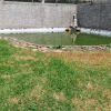 Отель Patzcuaro Residence, фото 8