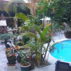 Отель Coyaba Tropical Elegant Adult Guesthouse, фото 15