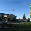 Отель Seven Oakes Motel в Кингстоне