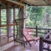 Отель Jungle Jive Treehouse, фото 10