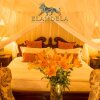 Отель Elandela Private Game Reserve & Luxury Lodge, фото 43