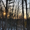 Отель Blue Sunsets Cozy Retreat, фото 19