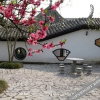 Отель Anling Shuyuan Hotel, фото 11