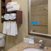 Отель Hampton Inn East Lansing, фото 10