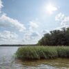 Отель Müggelsee Berlin, фото 15