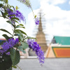 Отель Feung Nakorn Balcony Rooms and Cafe, фото 22