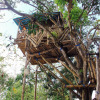 Отель Nyuh Bengkok Tree House, фото 8