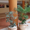 Отель Apartamentos Aguamarina - 433, фото 13