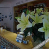 Отель Dali Flower Inn, фото 4