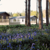 Отель Hollicarrs - Wildflower Lodge, фото 23