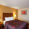 Отель Rodeway Inn & Suites, фото 33