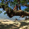 Отель Waruka Bay Resort, фото 3