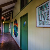 Отель Jackaroo Treehouse Mission Beach - Hostel, фото 13