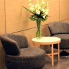 Отель Darwin Executive Suites & FREE CAR, фото 10