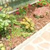 Отель B&B da Tatiana, фото 9