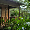 Отель Jaguarundi Lodge, фото 10