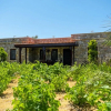 Отель Serene House in Bozcaada, фото 1