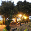 Отель Mediterranean B&B, фото 19