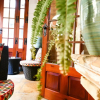 Отель Maria Giovanna Guest House, фото 14