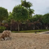 Отель Mactan Newtown Ocean View 360degree, фото 35