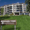 Отель Bronze Tree Condominiums by Mountain Resorts, фото 23