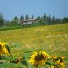 Отель Fattoria LAlpenice Bioagriturismo, фото 1