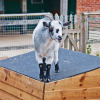 Отель Northlands Farm & Lakes, фото 23