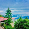 Отель Tentree Resort Bhurban, фото 1