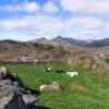 Отель Cuckoo Tree House, Glengarriff, Beara Peninsula, фото 27