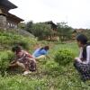 Отель Wangdue EcoLodge, фото 18