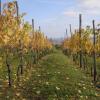 Отель Casa Aiva & il Ciabutin, in collina tra i vigneti, фото 7