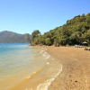 Отель Punga Cove Resort, фото 14