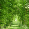 Отель Agriturismo Ca Marcello, фото 11