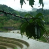 Отель Longji Terraced Fields Jing Liu Ren Inn, фото 5