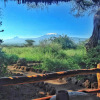 Отель Kibo Villa Amboseli, фото 7