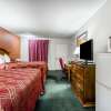 Отель Econo Lodge Inn & Suites, фото 24