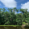 Отель Antares Amazon Lodge, фото 24
