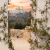 Отель Masseria Grofoleo, фото 15